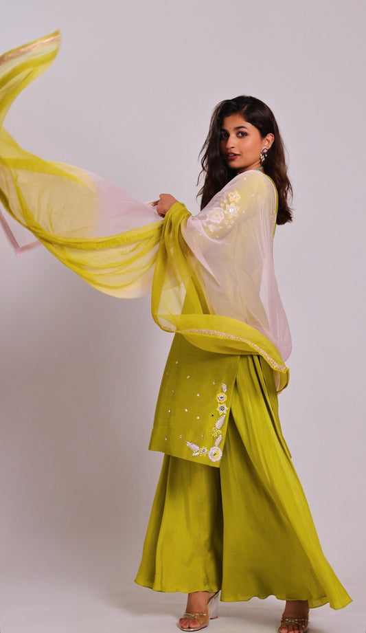 Nargis Green Sharara Set